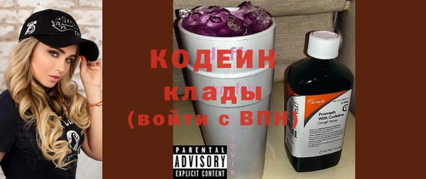 a pvp Ельня