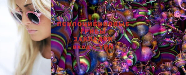 MESCALINE Иннополис