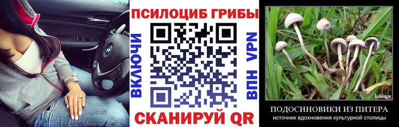 Псилоцибиновые грибы GOLDEN TEACHER  Борисоглебск 